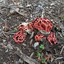 2025/11/12 